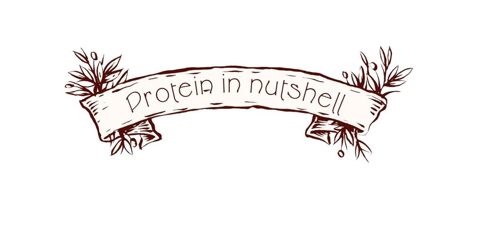 Top Athlete, what is the optimal amount of protein powder, dutch chocolate protein powder