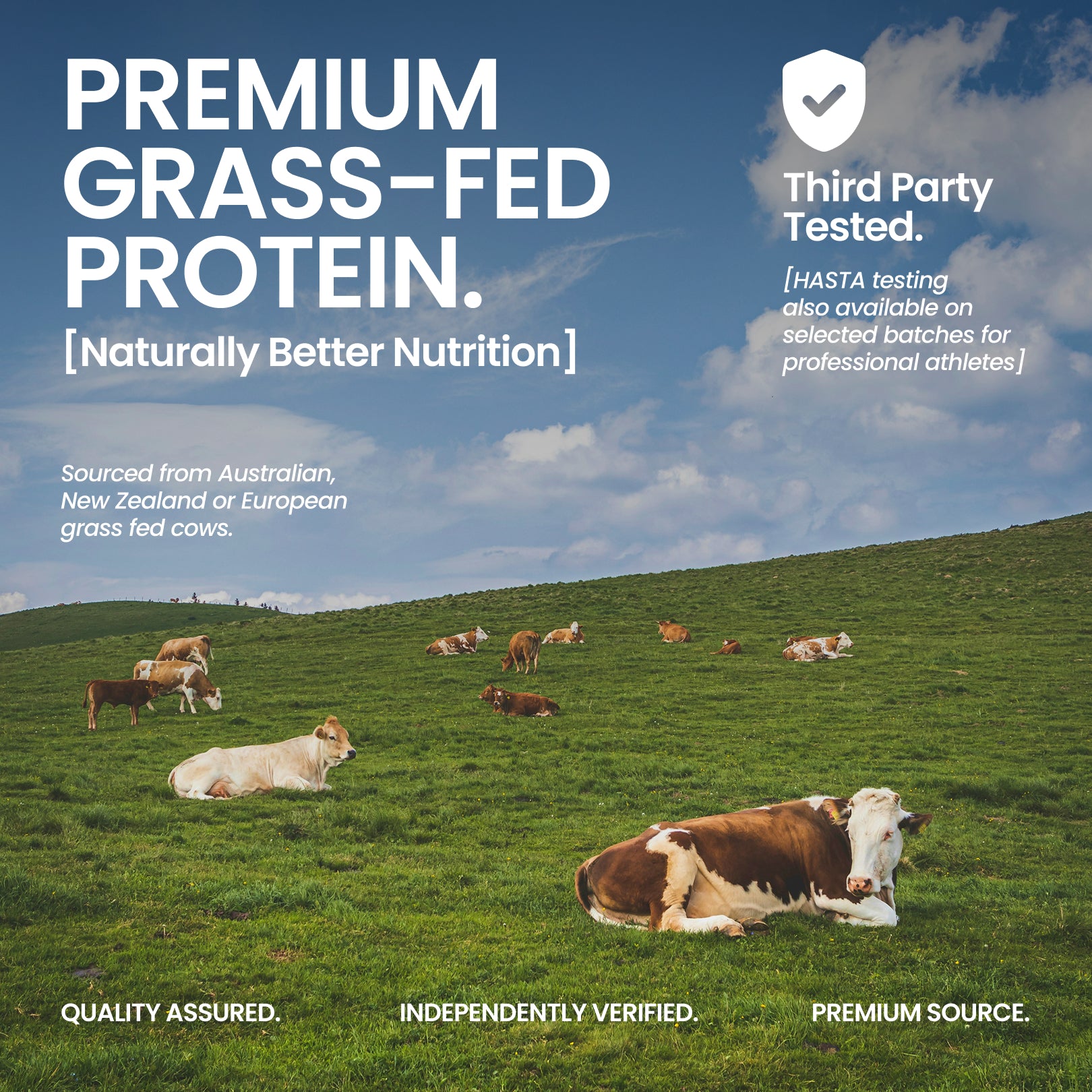 Ultimate Whey Isolate Coconut