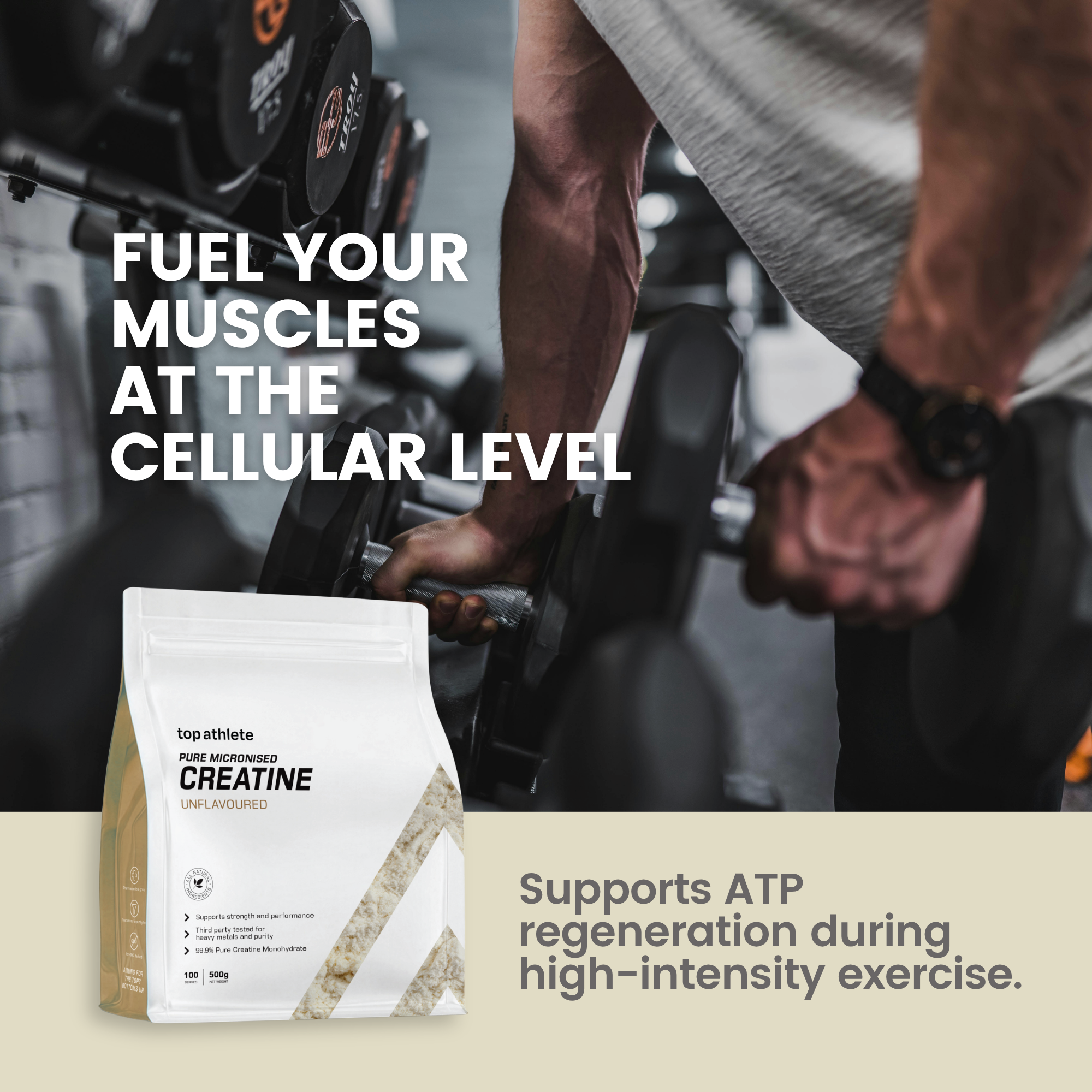 Pure Micronised Creatine Monohydrate | Third Party Tested | 500g